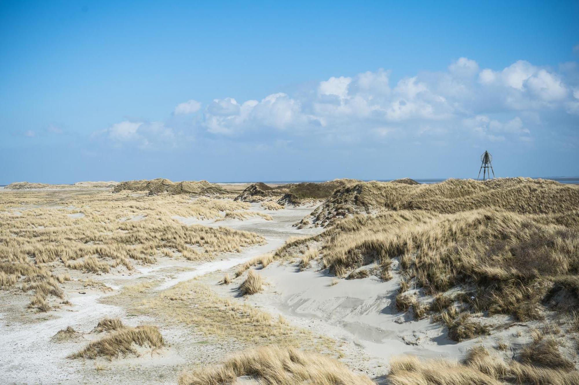 Vakantiepark Klein Vaarwater Buren  Exteriér fotografie